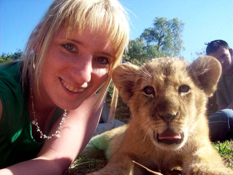 Work with Lion Cubs South Africa