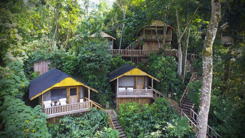 Uganda - 1568 - Bwindi Impenetrable Forest - Buhoma Lodge in the jungle