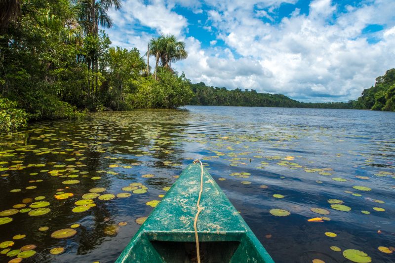 Peru and Jungle - 1559 - Amazon - River Boat Experience - Jacek
