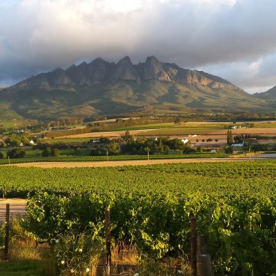 Winelands and Garden Route Discovery
