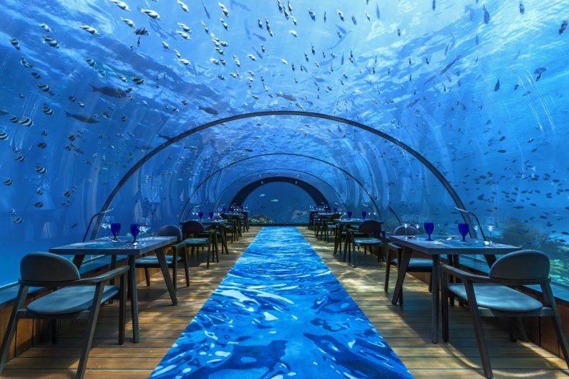 Maldives - Lhaviyani Atoll - 1567 - Hurawalhi Island Resort - 5.8 Undersea Restaurant Interior - Underwater Dining