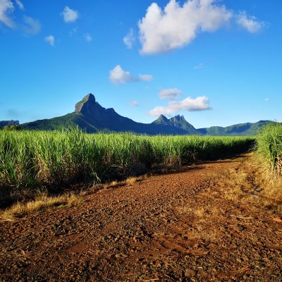 Mauritius Island Discovery