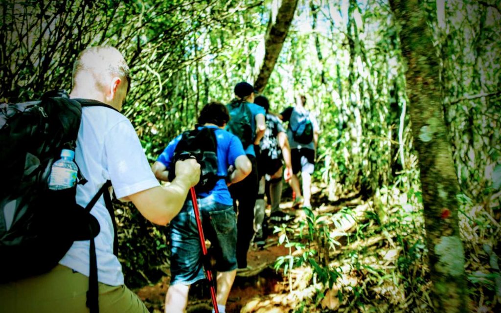 Brazil Adventure - 1569 - Rio de Janeiro - Jungle Hike - Team Climb