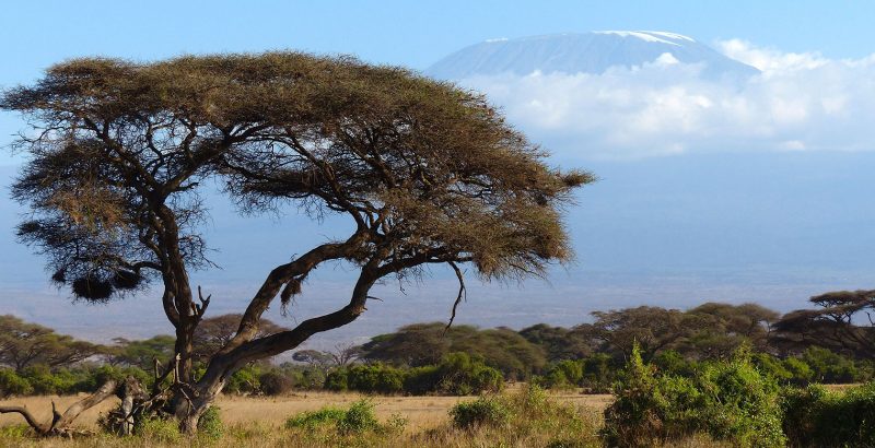 Tanzania - 1568 - Kilimanjaro - Mountain