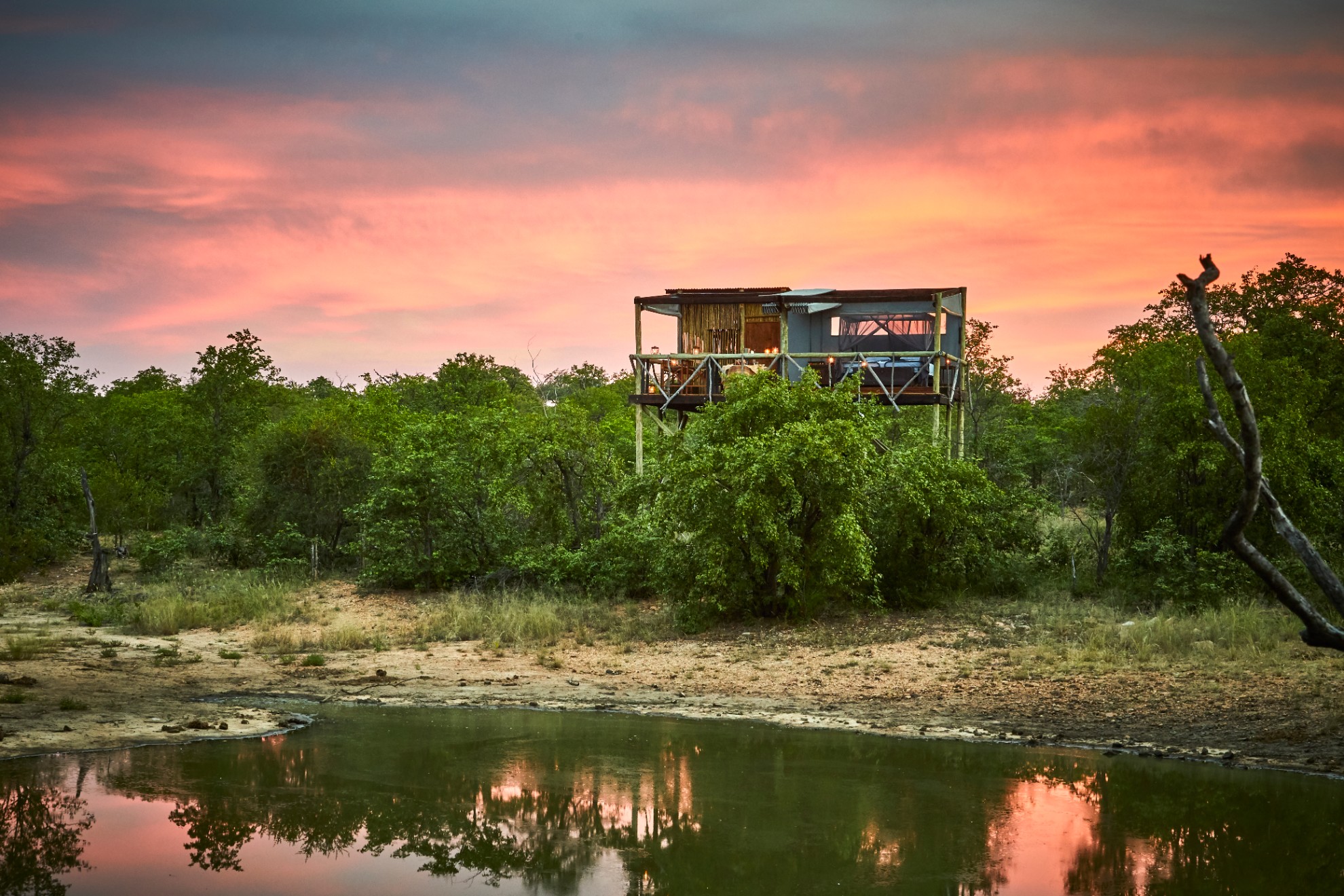 South Africa - Kruger - 4948 - Giraffes Nest