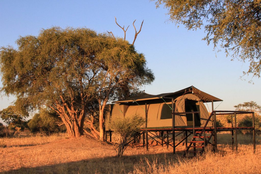 Zimbabwe - Hwange - 1564 - Jozibanini Camp tent