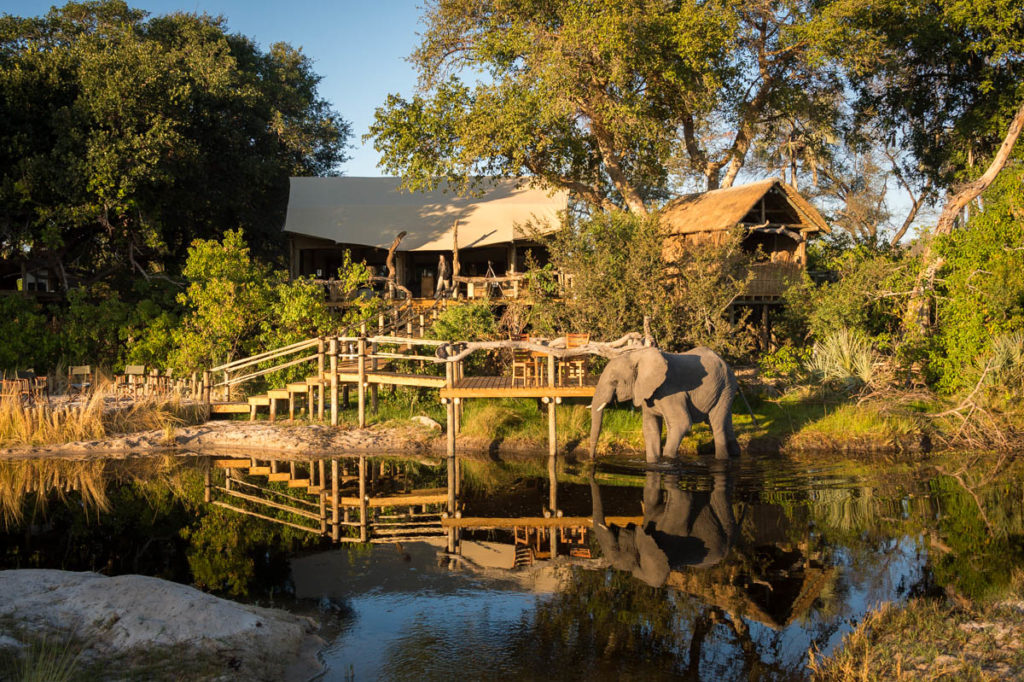 Botswana - Okavango Delta - 1553 - Little Tubu Outside area and river