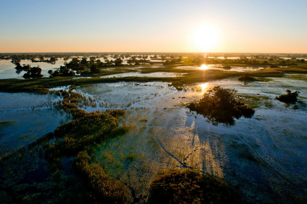 Botswana - Okavango Delta - Pelo Camp -View from above of Okavango Delta
