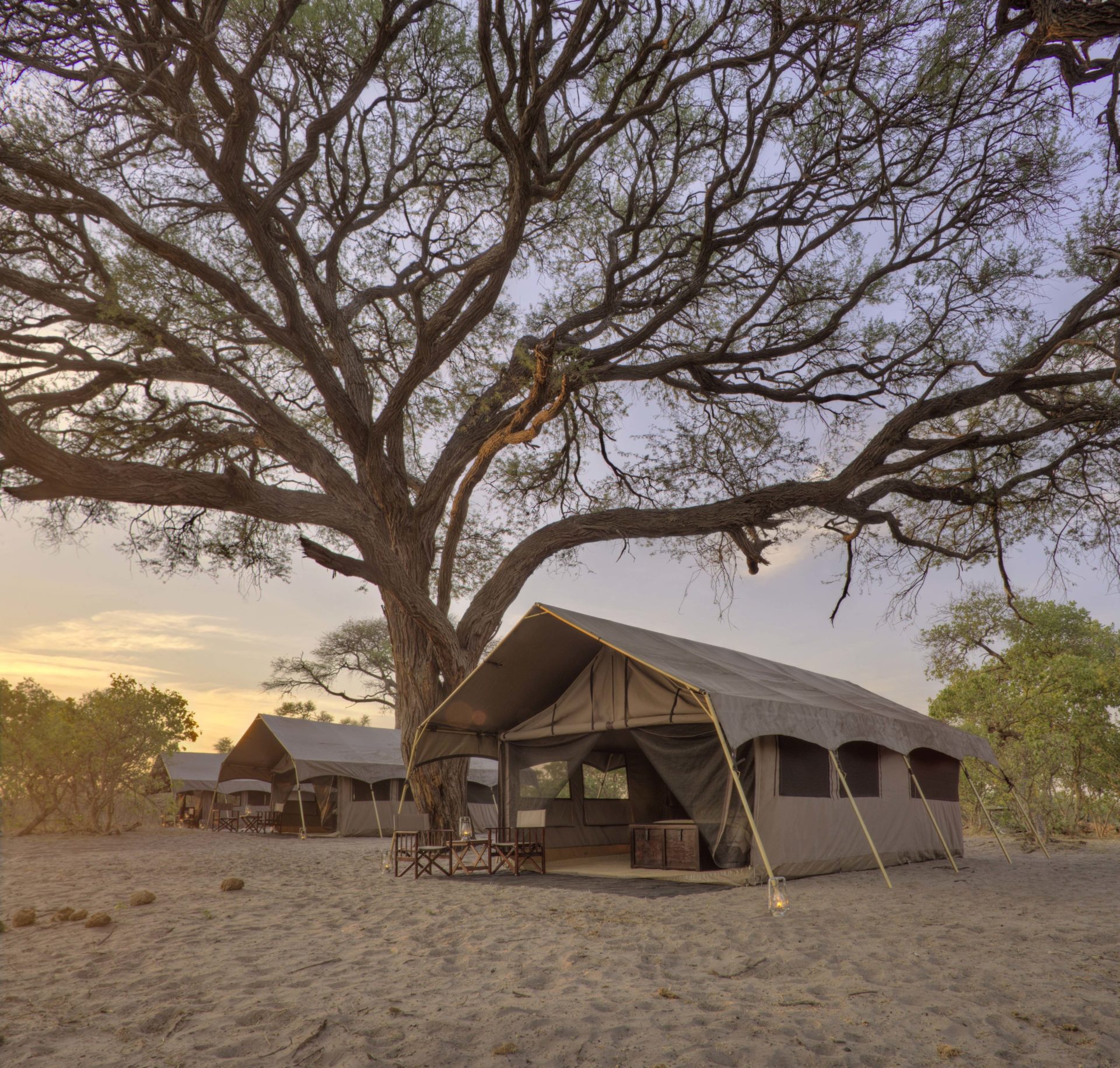 Botswana - Savuti-Chobe National Park - 1553 - andBeyond Savute Under Canvas at dusk