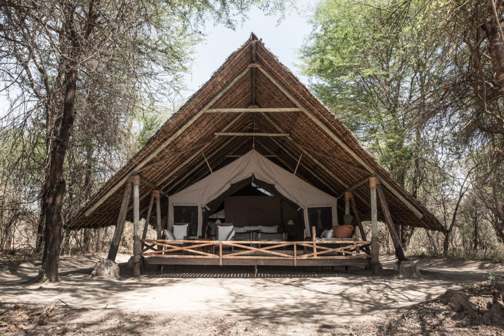 Tanzania - Ruaha National Park - 1568 - Main Tent