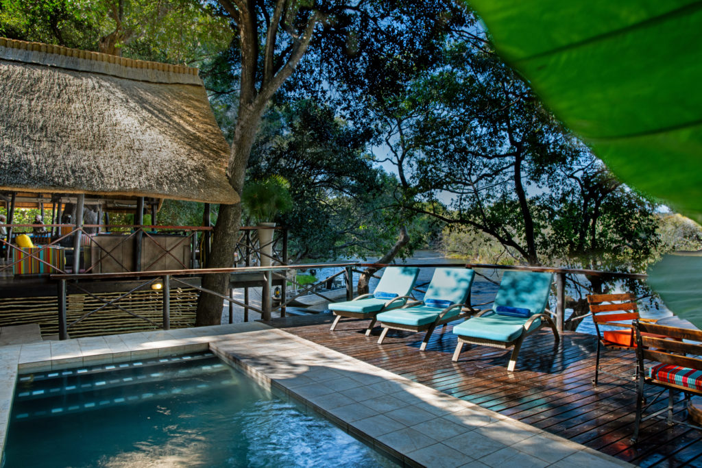 Namibia - Chobe River Front - 1552 - Pool with Sun Loungers