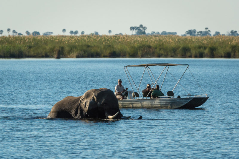Botswana - Linyanti Concessions - Duma Tau Camp - Safari boats