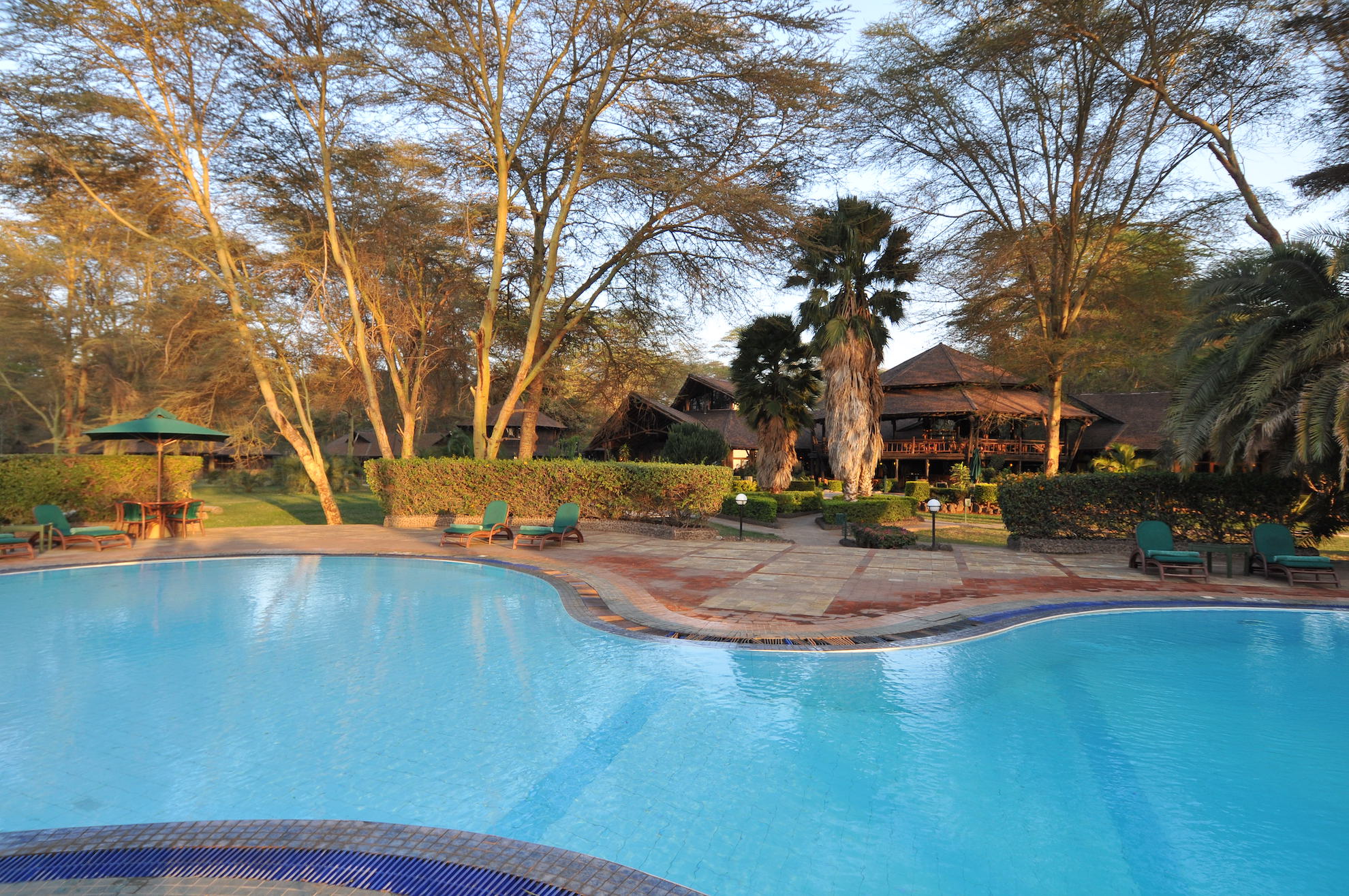 Kenya - Amboseli National Park - 12890 - Ol Tukai Lodge