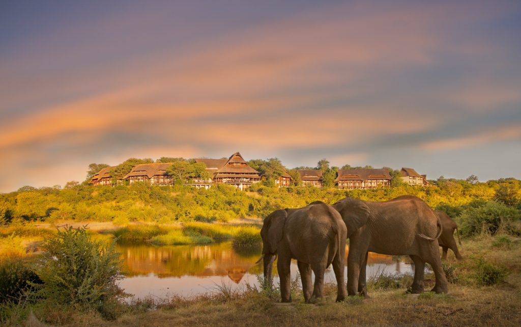 Elephants_in_front_of_victoria_falls_safari_lodge