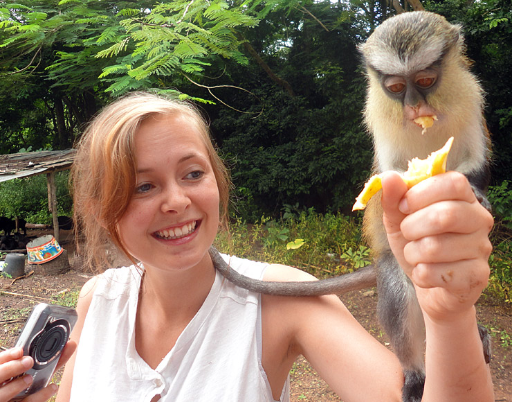 Monkeys in Ghana