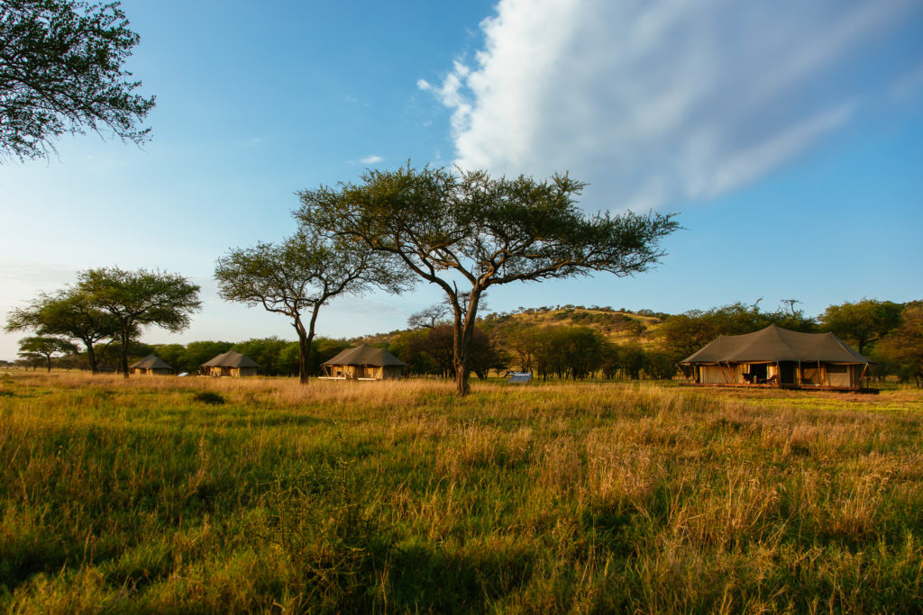 Cherero Camp Grasslands around the camp