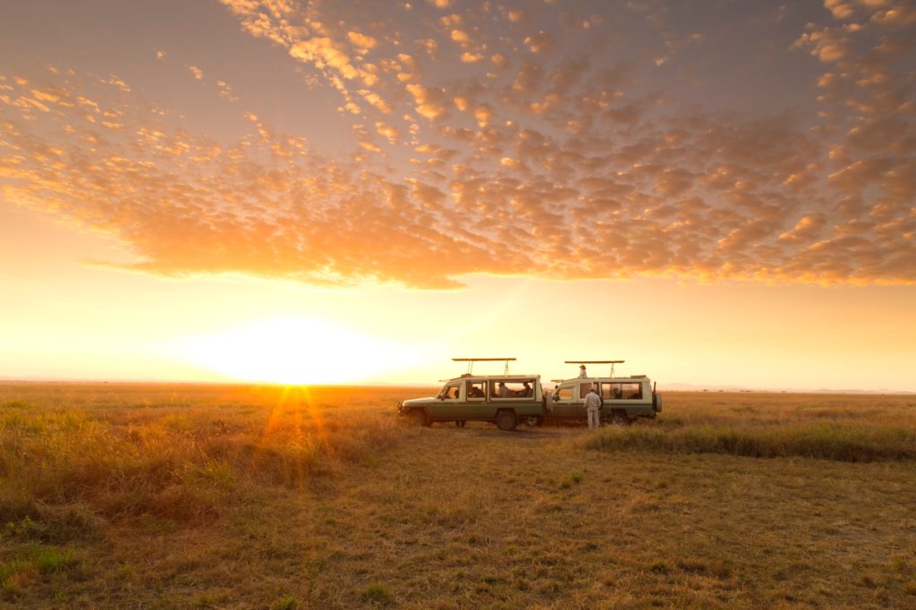 Tanzania - Central Serengeti - 1568 - Sunset Sundowners