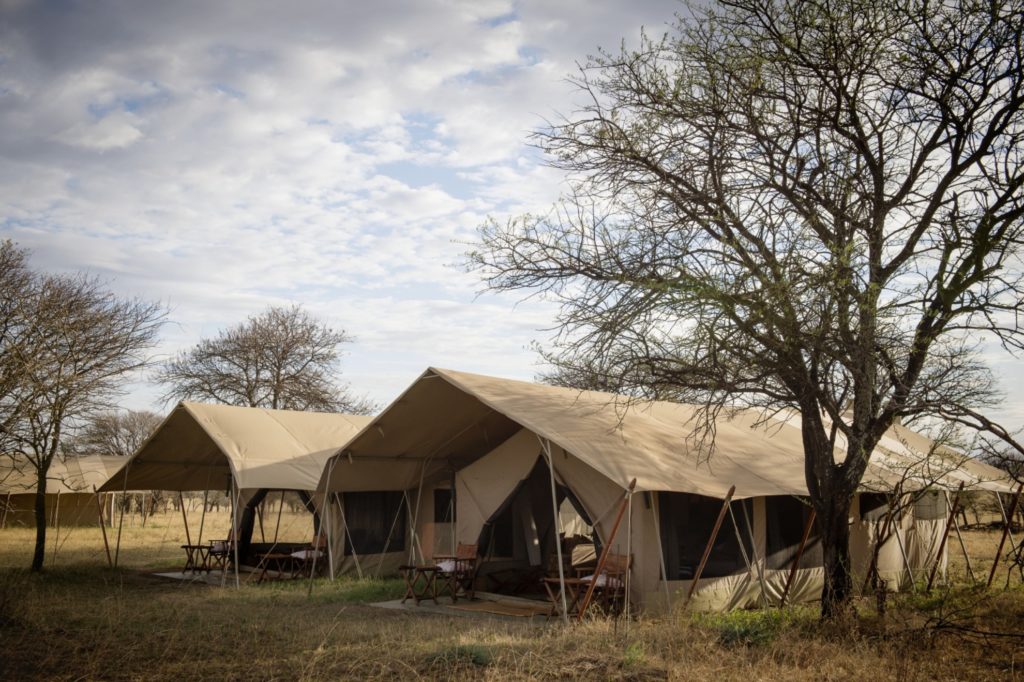 Tanzania - Northern Serengeti - 1568 - Serengeti Safari Camp North Family Tent