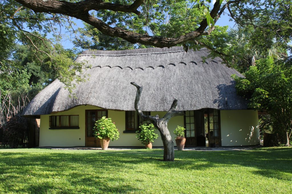 Waterberry Zambezi Lodge Livingston Zambia sunbird_and_wagtail