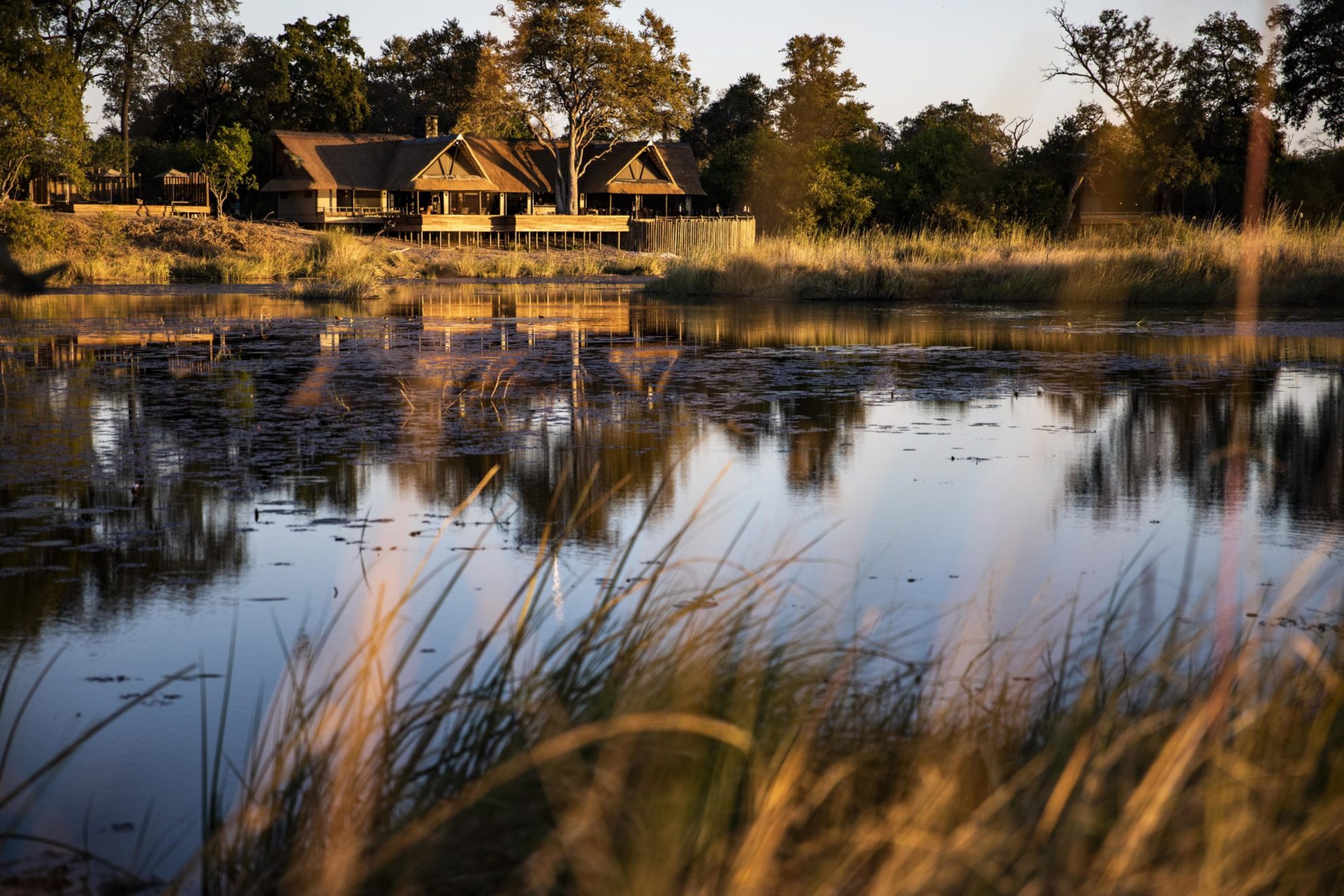 Botswana - Linyanti Concessions - 1553 - Lodge from Riverbank