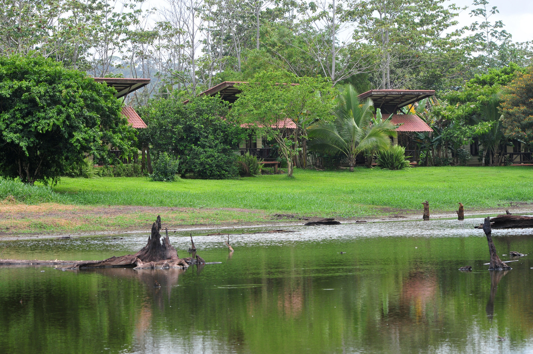 Maquenque Eco Lodge - Pure Breaks