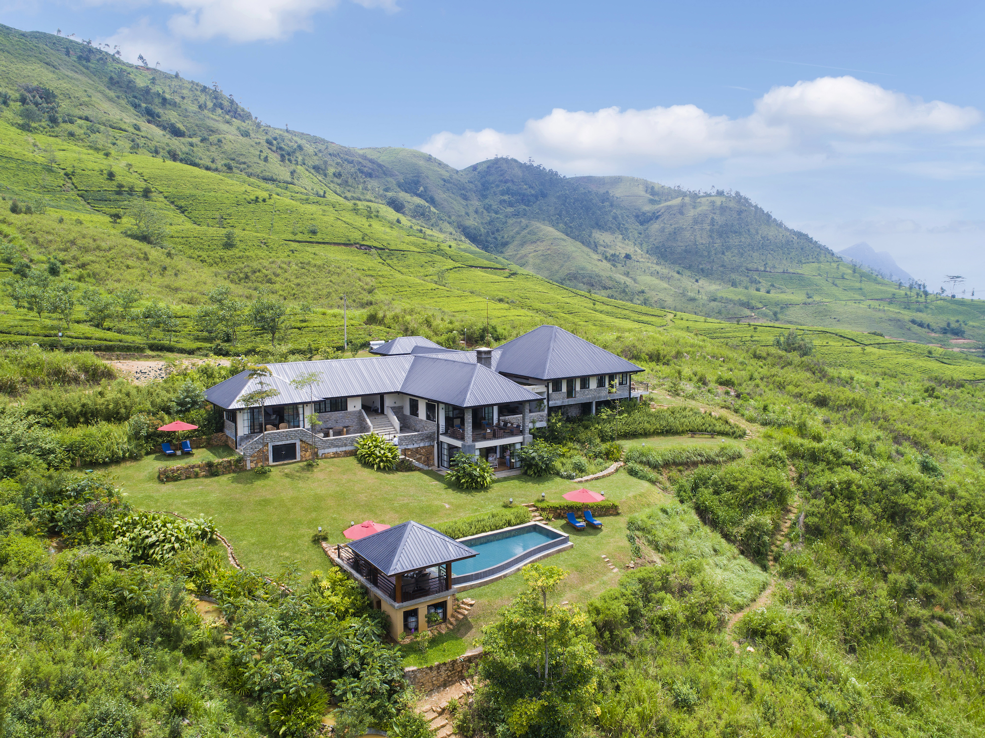 Sri Lanka - Dickoya - 1567 - Camellia Hills amidst vegetation