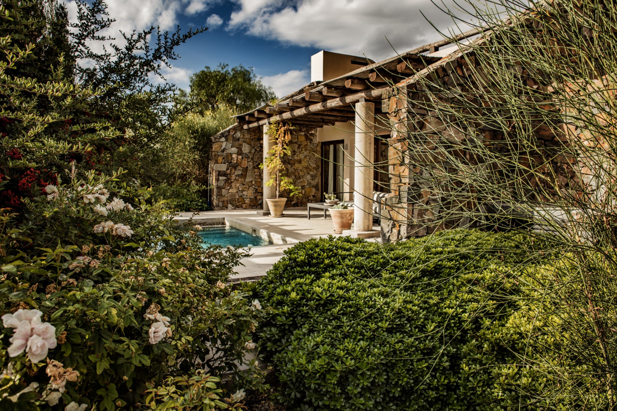 Argentina - Mendoza - 1584 - Cavas Wine Lodge gardens