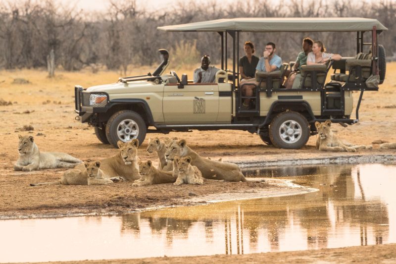 Botswana - 1553 - Okavango Delta - Safari Game Drive - Big 5