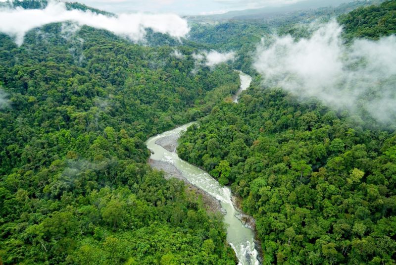 Costa Rica- Pacuare- 1570- Pacuare Lodge River through the jungle
