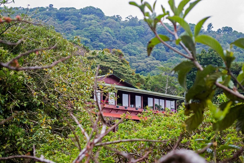 Costa Rica - Monteverde - 10024 - Cloud Forest Lodge Exterior