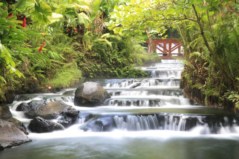 Cost Rica - Arenal - 1570 - Garden Waterfalls