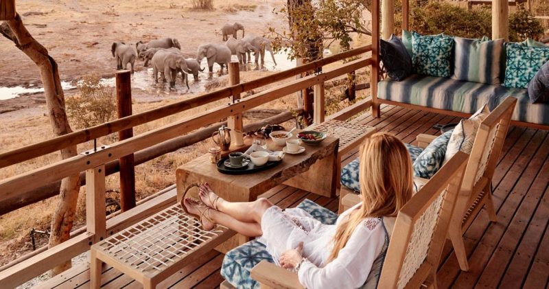 Botswana - 1553 - Belmond Savute Elephant Lodge Botswana - Decking Elephant Watching