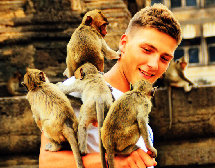 Monkey Sanctuary in Thailand