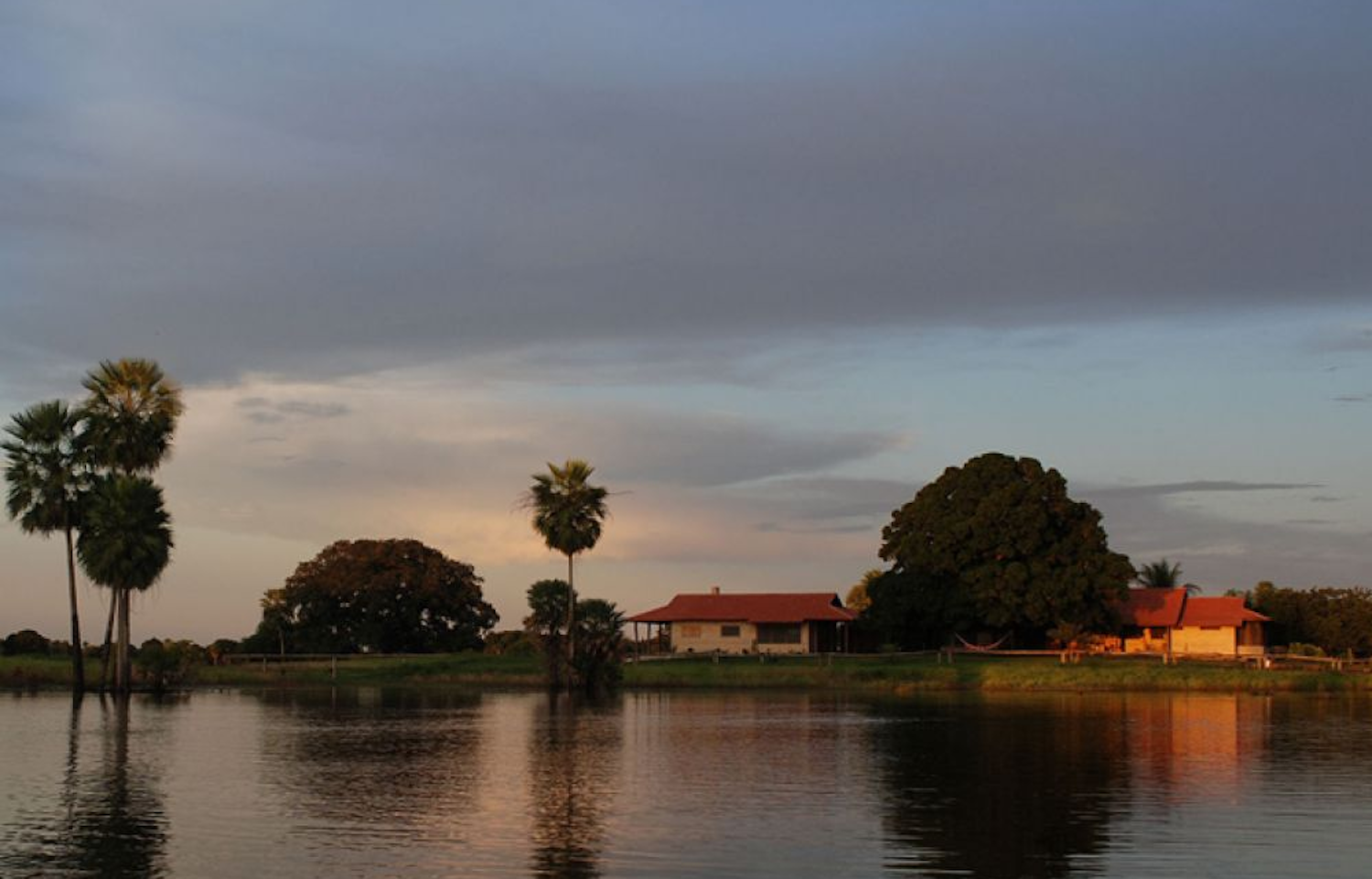 Brazil - Southern Pantanal - 1569 - Fazenda Barranco Alto River Hotel