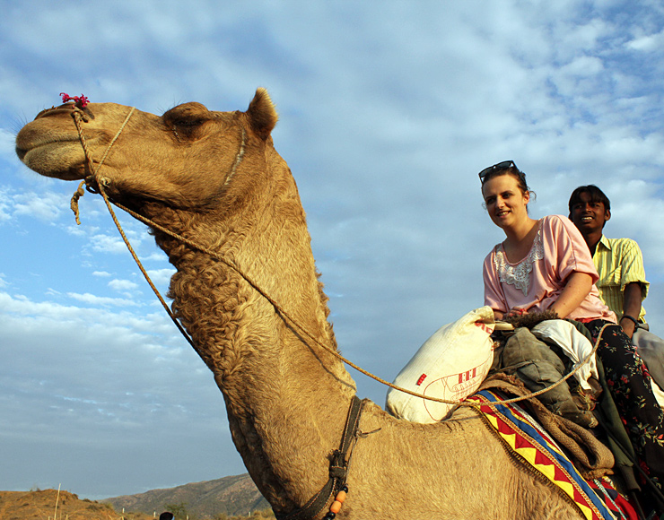 Camel Safari India