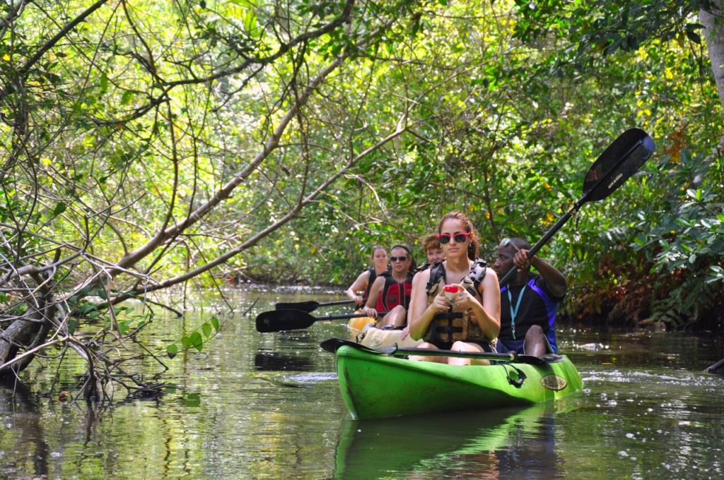 Honduras Highlights - 10024 - Kayak Punta Izopo - Wildlife experience