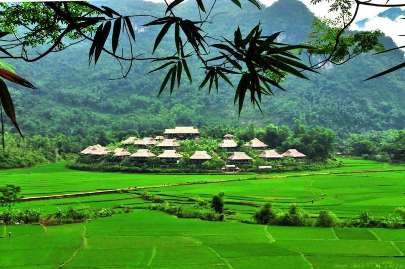 Vietnam - Mai Chau - 16103 - Mai Chau Ecolodge - Green fields surrounding the lodge