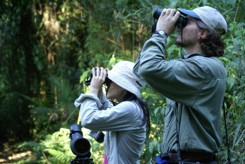 Argentina - 1584 - Yacutinga Lodge - Iguazu - Bird watching with Binoculars