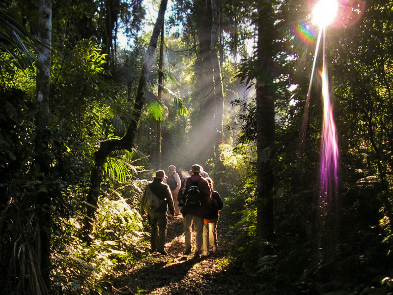 Argentina - 1584 - Jungle Trails Yacutinga Lodge - Iguazú - Guided Walks