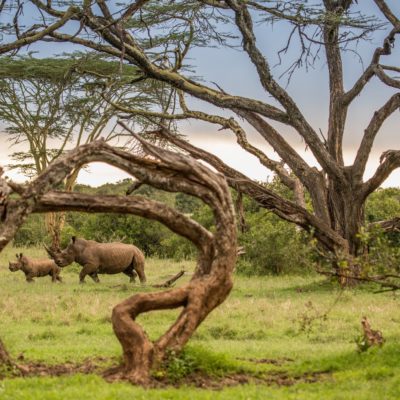 Highlights of Kenya