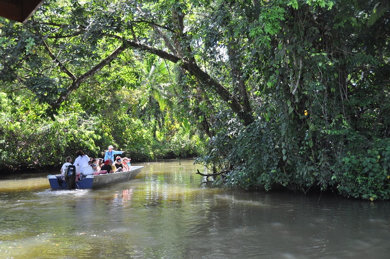 Costa Rica Tortuguero and Rainforest - Tortuguero River Kayak Wildlife Spotting