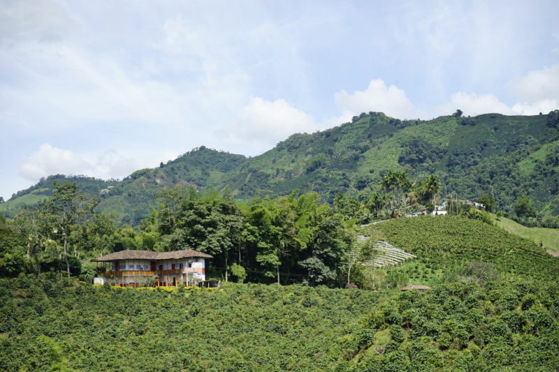 Colombia - 1558 - Quindio Coffee Culutral Landscape Experience