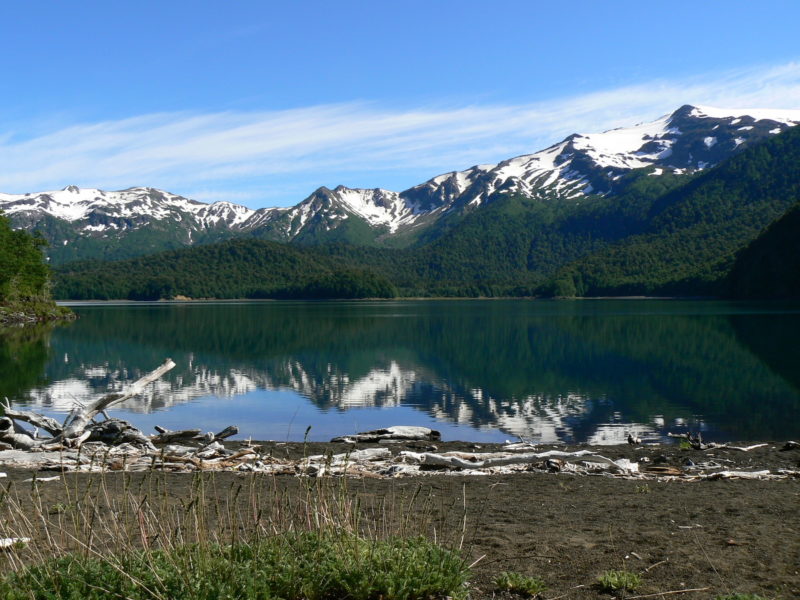 Chile - Pucon - 1560 - Conguillio Lake Nature Adventure