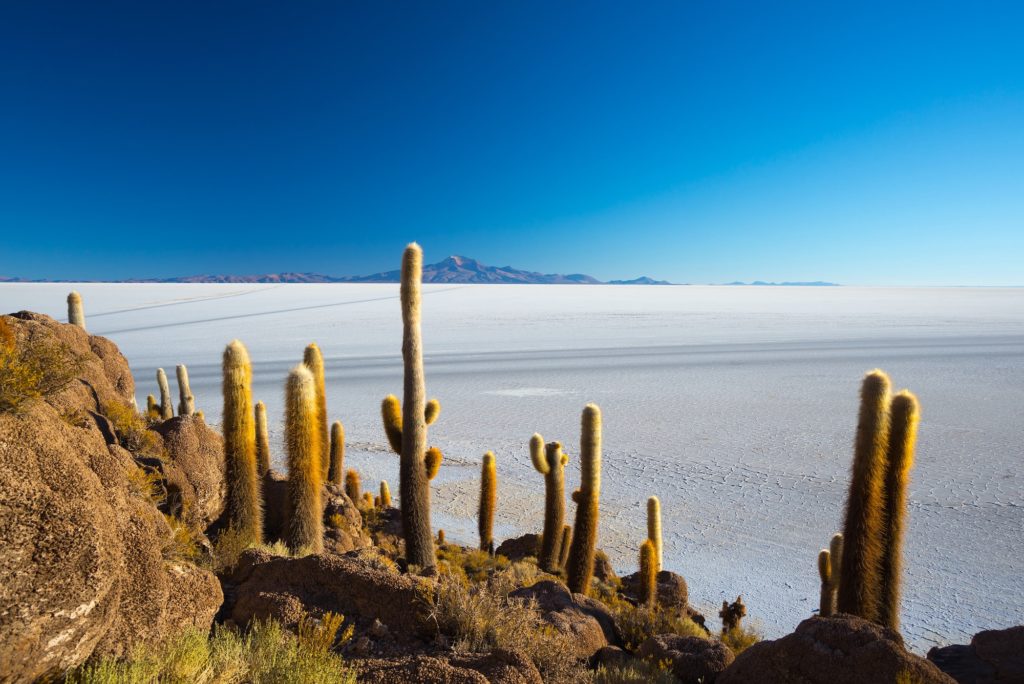 Bolivia - 1561 - Adventure Program - Uyuni Incahuasi Island