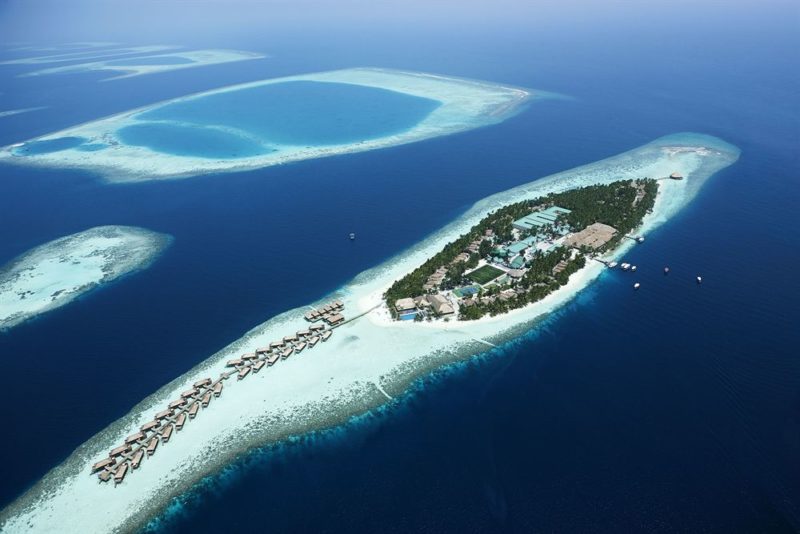 Maldives - Alif Dhaal Atoll - 1567 - Vilamendhoo Island Resort and Spa