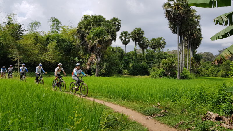 Cambodia - 18260 - Angkor Cycling