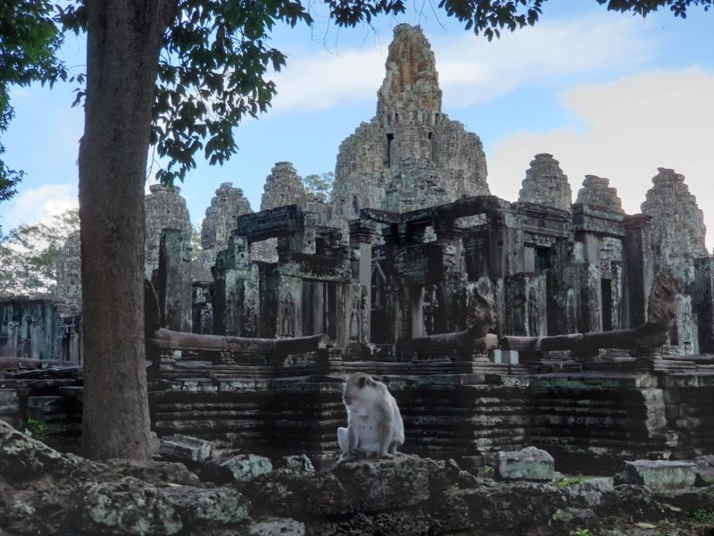 Cambodia - 18260 - Bayon Temple