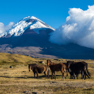 Ecuador Family Trip