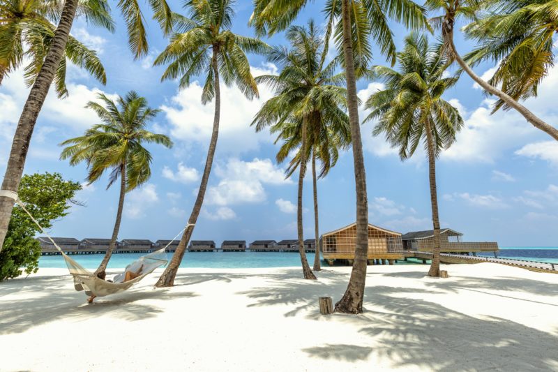 Maldives - Lhaviyani Atoll - 1567 - Kudadoo Private Island - Beach, Coconut Trees and Hamock