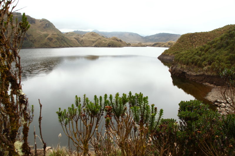 Ecuador - 1557 - Ecuador Honeymoon - Papallacta Lake
